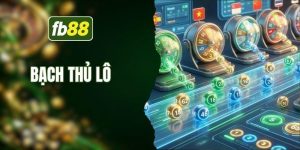 Bạch thủ lô