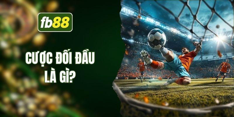 Cược đối đầu là gì