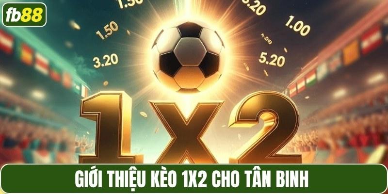 Giới thiệu kèo 1x2 cho tân binh 