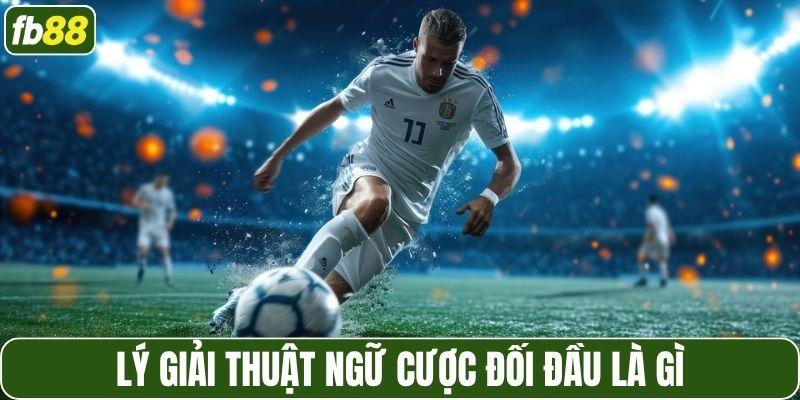 Lý giải thuật ngữ cược đối đầu là gì