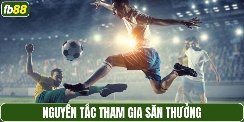 Nguyên tắc tham gia săn thưởng